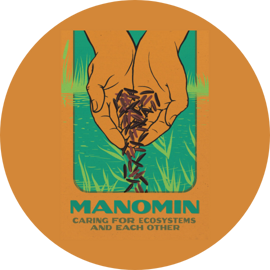 Manomin book cover