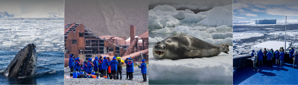 Four Photos from arctic expeditions