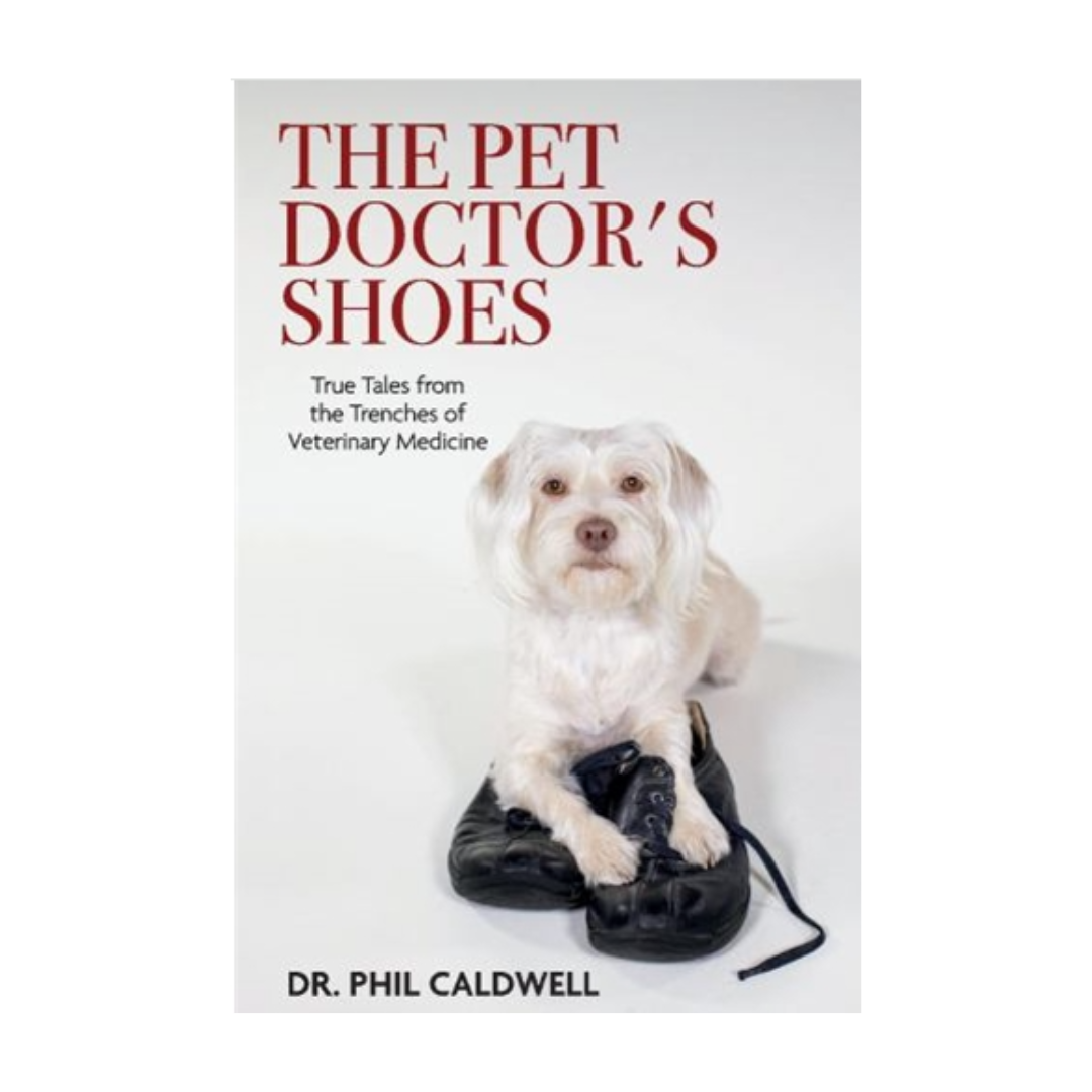 The Pet Doctor's Shoes