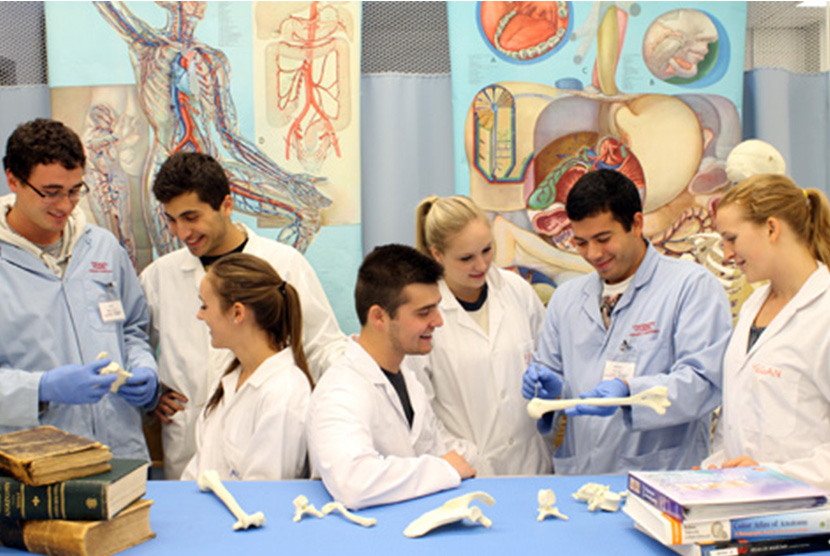 Students in lab working