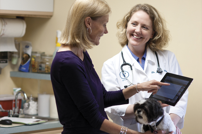 Woman and Veterinarian and Dog in Office
