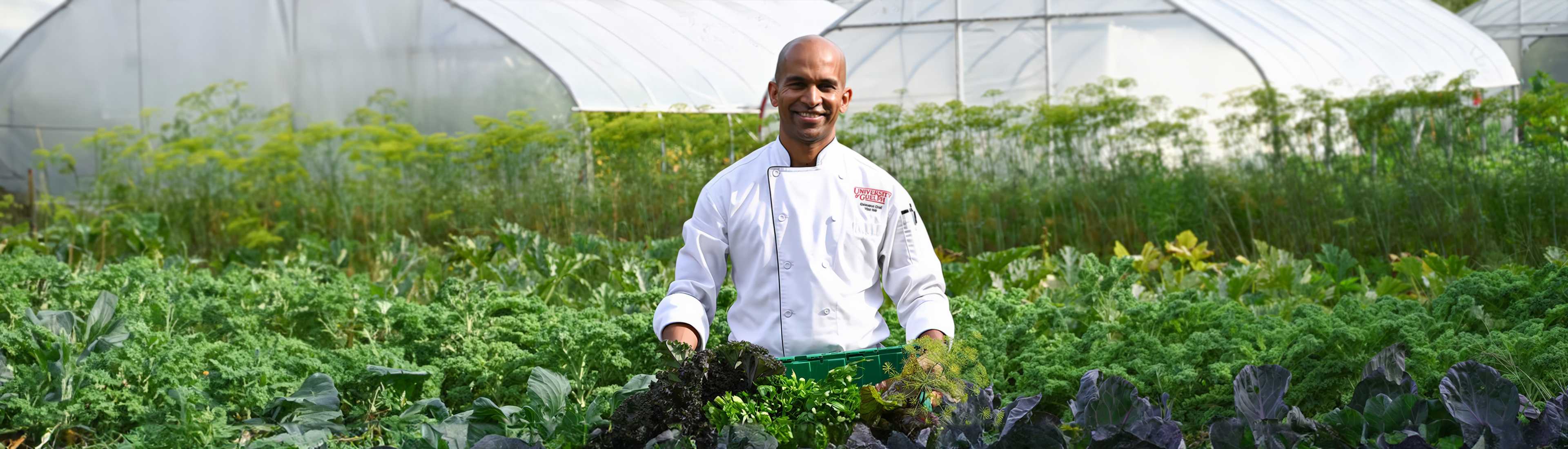 university-of-guelph-chef-harvesting-garden