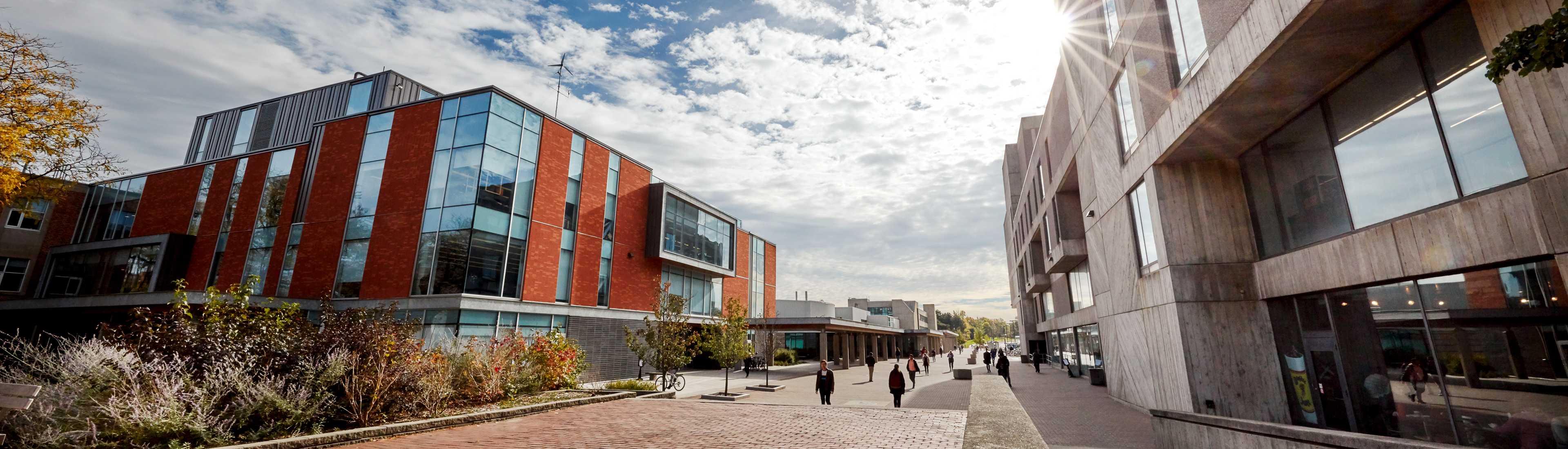 A bright, sunny day on the University of Guelph campus, with students walking between modern buildings and the sun shining through the clouds.