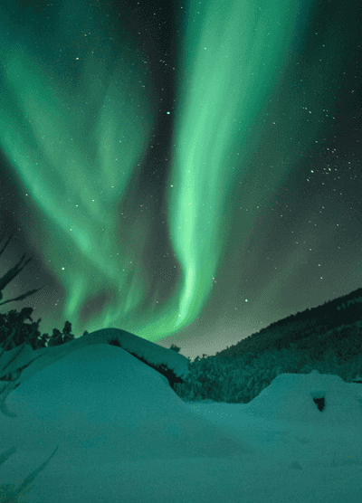 Green northern lights dancing across a starry sky above snow-covered cabins and trees in a winter landscape in Manitoba, Canada.