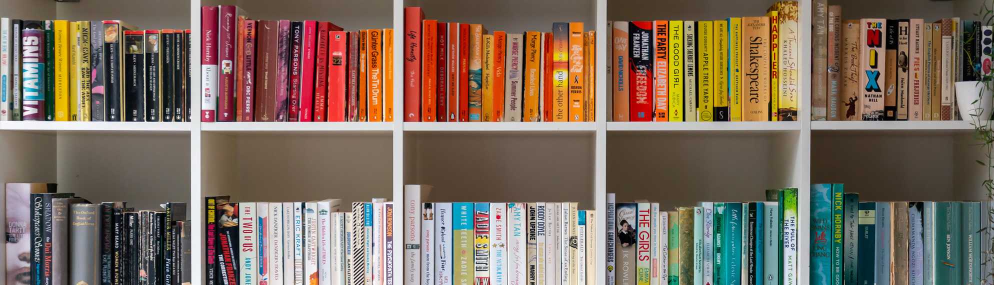 Color-coordinated bookshelves filled with books organized by spine color in a home library, creating a vibrant rainbow-like effect.